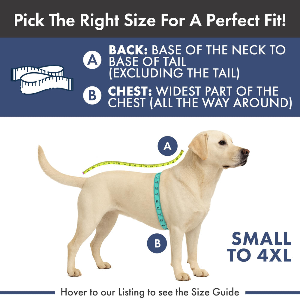 Spark Paws durable stitching closeup shows long-lasting dog apparel