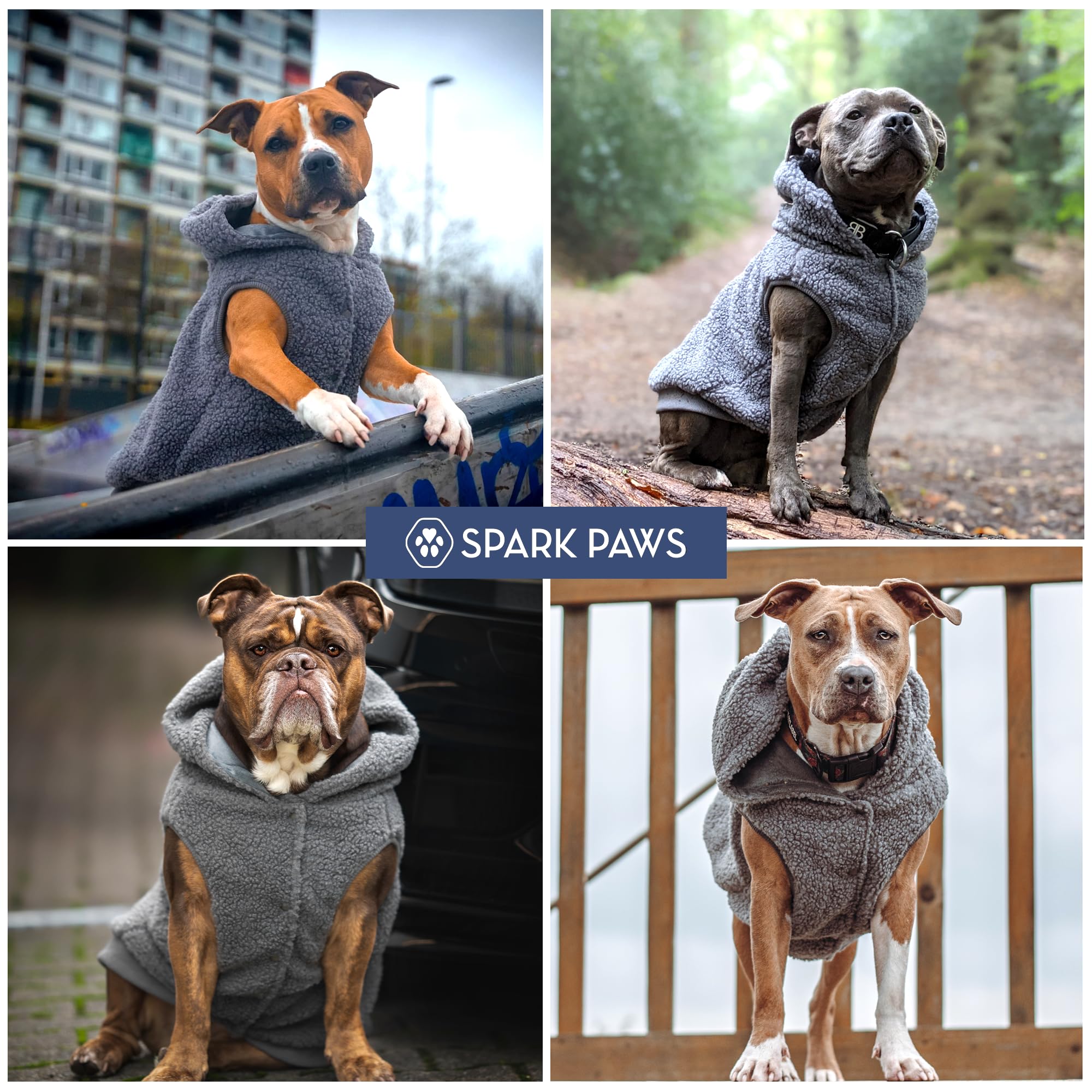 Spark Paws grey dog jacket on dog showcases versatile cold-weather outerwear.