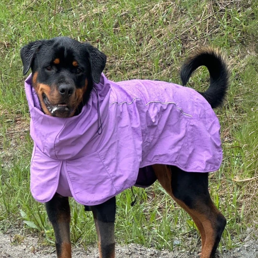 Spark Paws hind-leg toggle enables easy bathroom breaks.