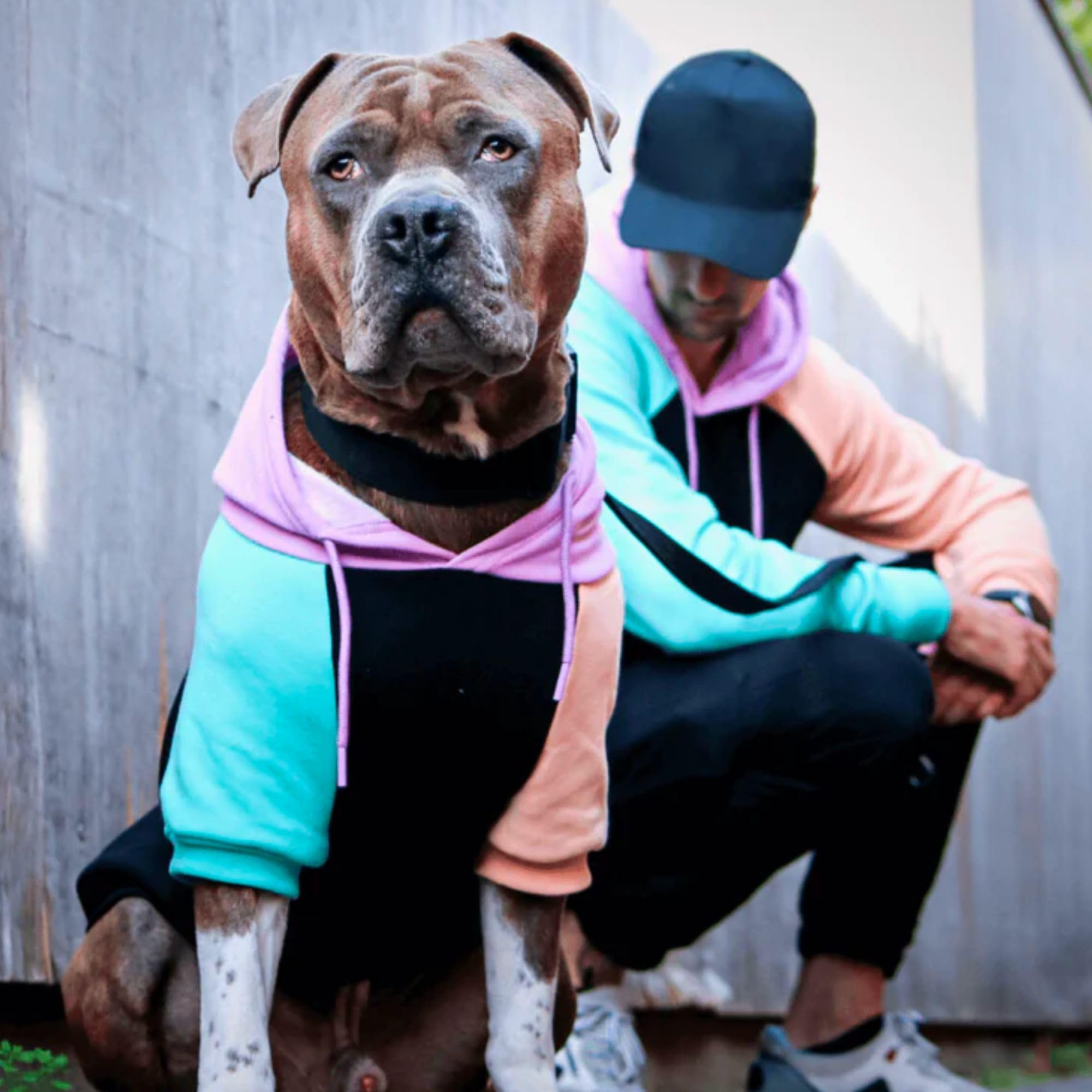 Spark Paws human hoodie fleece interior closeup reveals cozy warmth and softness.