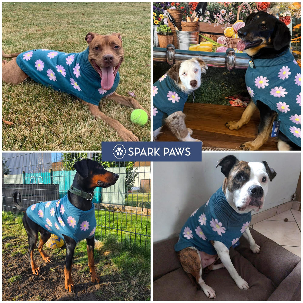 Spark Paws Knit Dog Sweater size-range friendly for many dog sizes