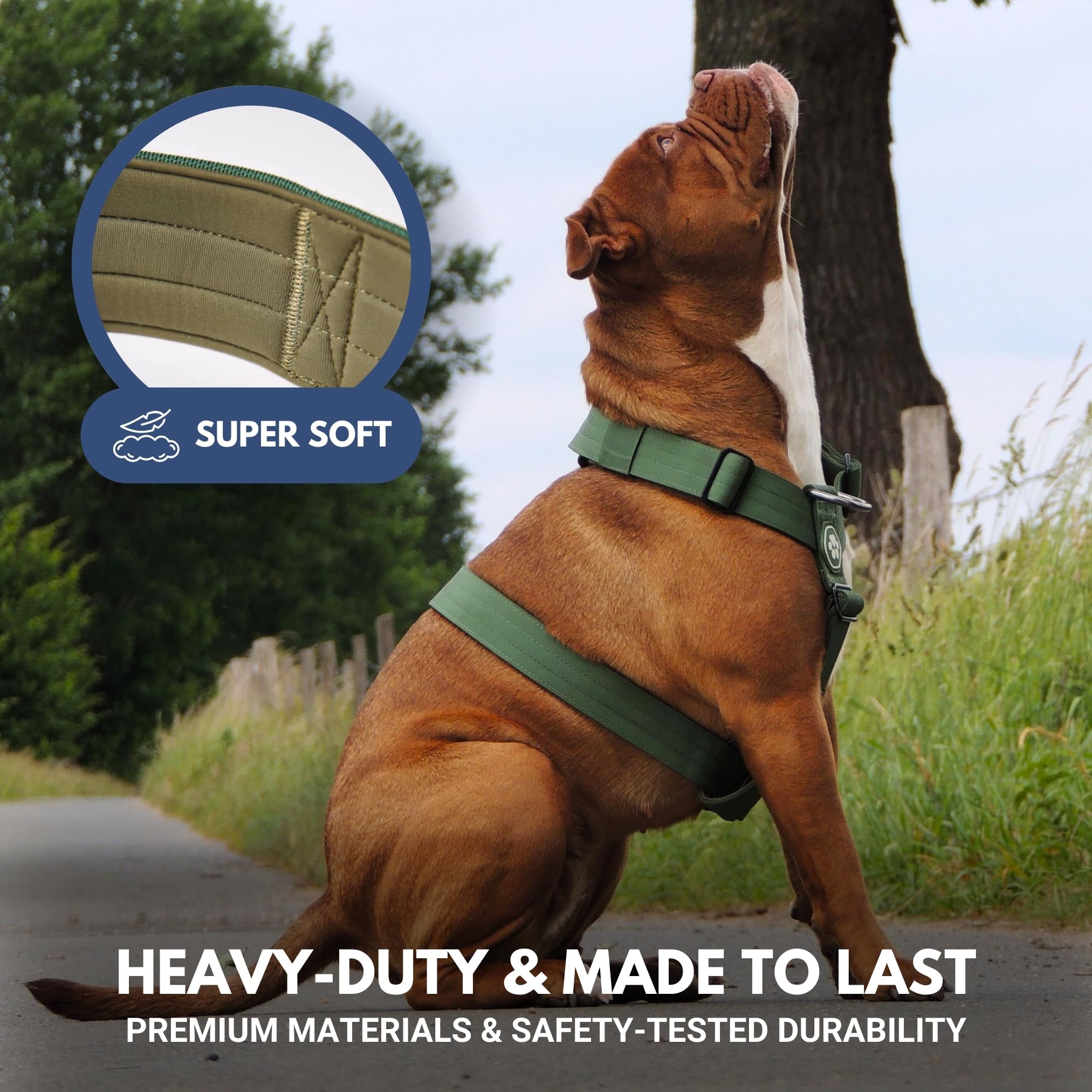 Spark Paws No Pull Harness for Large Dogs demonstrates comfortable full-body fit for big breeds