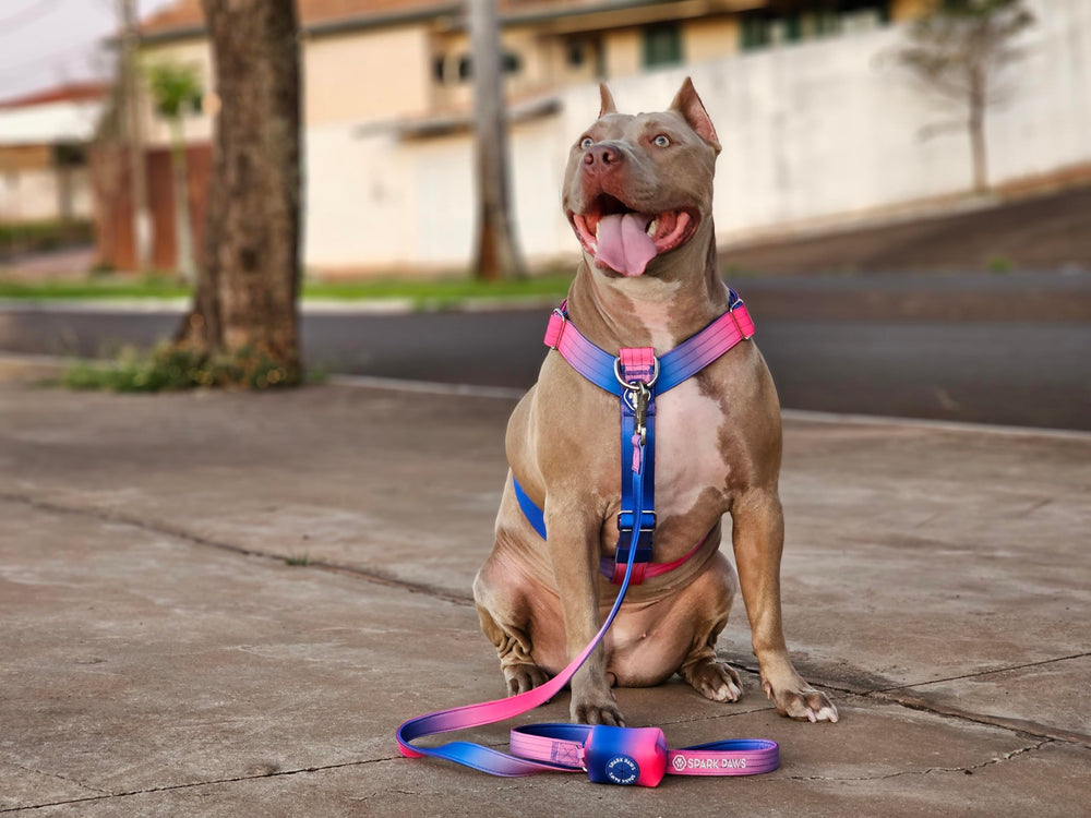 Spark Paws leash-1-1-inches width provides comfortable handling across breeds.