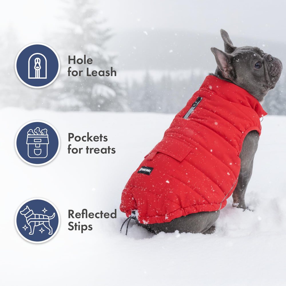 Spark Paws parka leash-hole for harness attachment during walks.