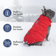Spark Paws parka leash-hole for harness attachment during walks.