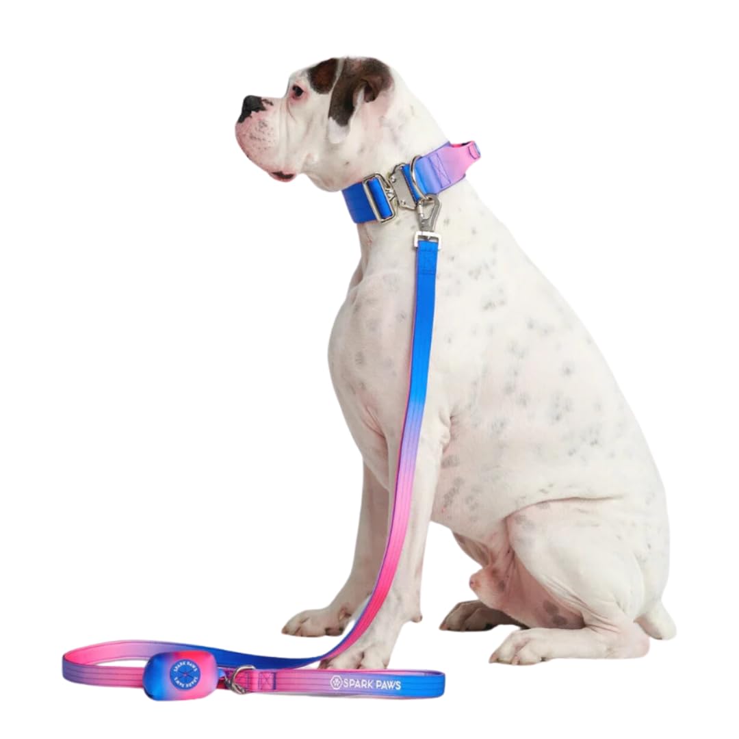 Spark Paws leash neoprene-padded-handle provides soft grip during long strolls.