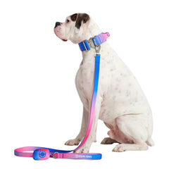 Spark Paws leash neoprene-padded-handle provides soft grip during long strolls.