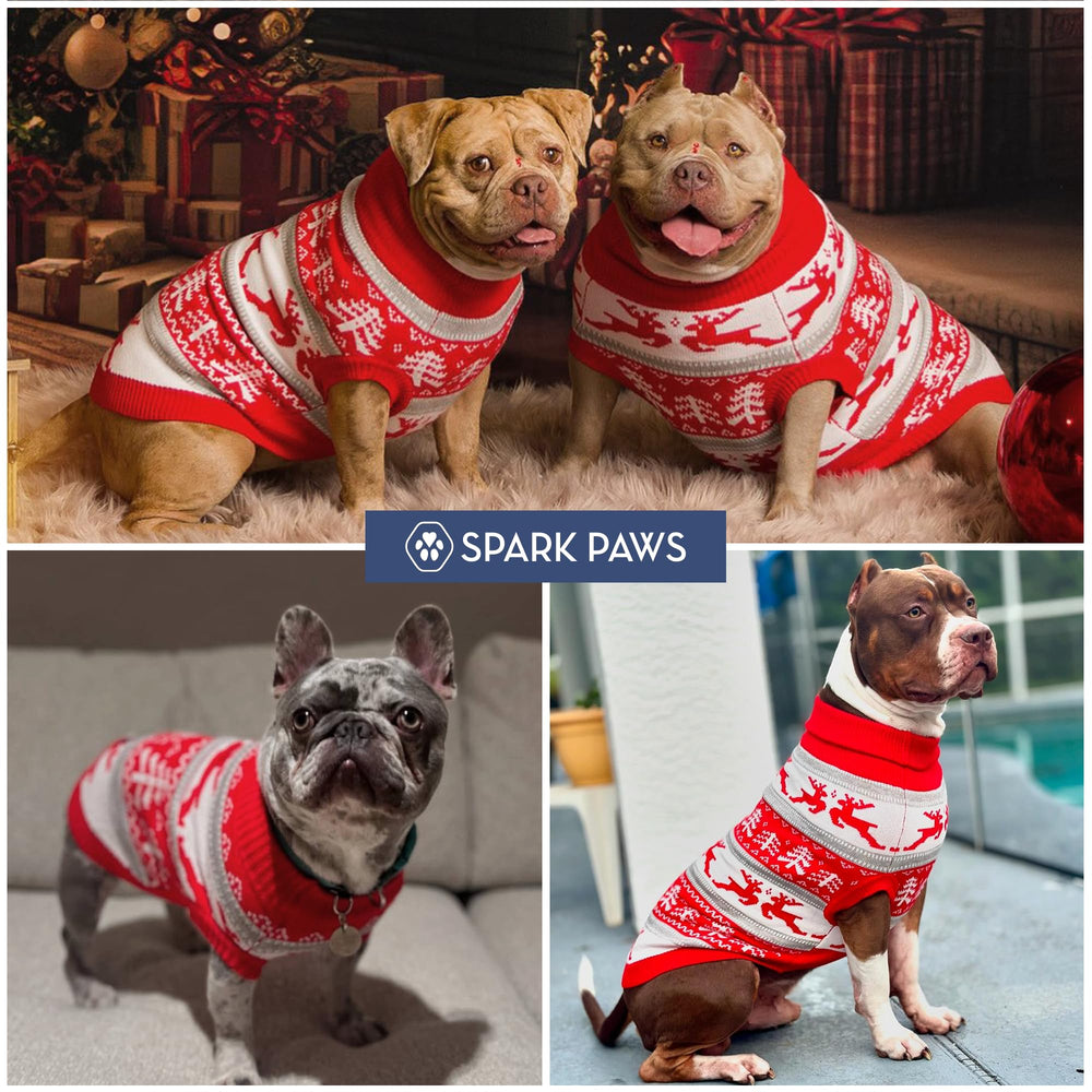 Spark Paws machine washable knit proves easy care after holiday wear