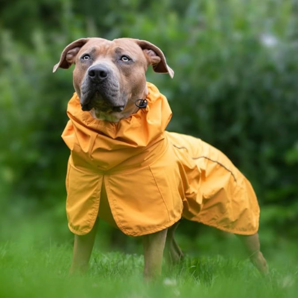 Spark Paws neck-wrap adjustable to keep neck and face dry.
