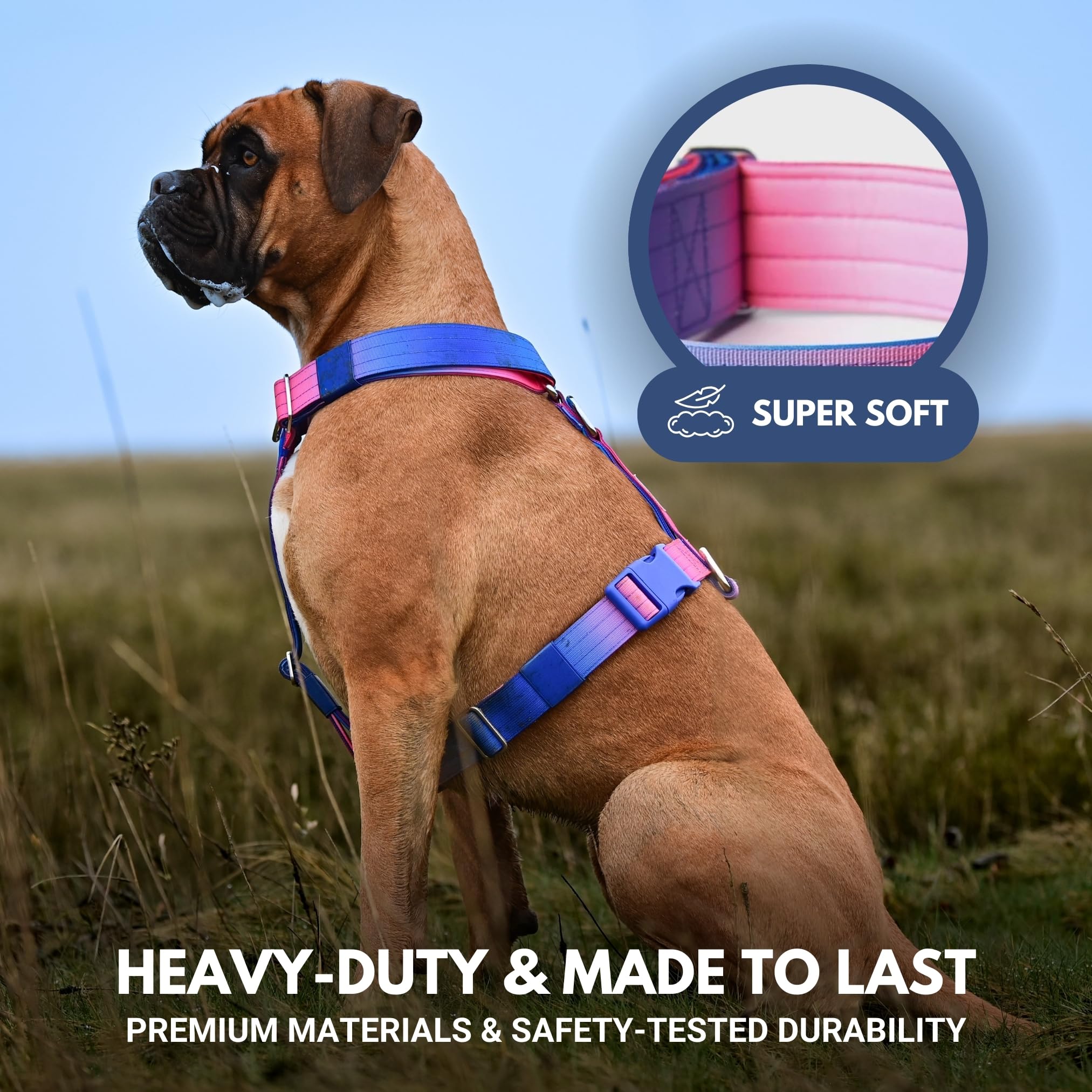 Spark Paws no-pull harness pairs with tactical collar for a complete setup.