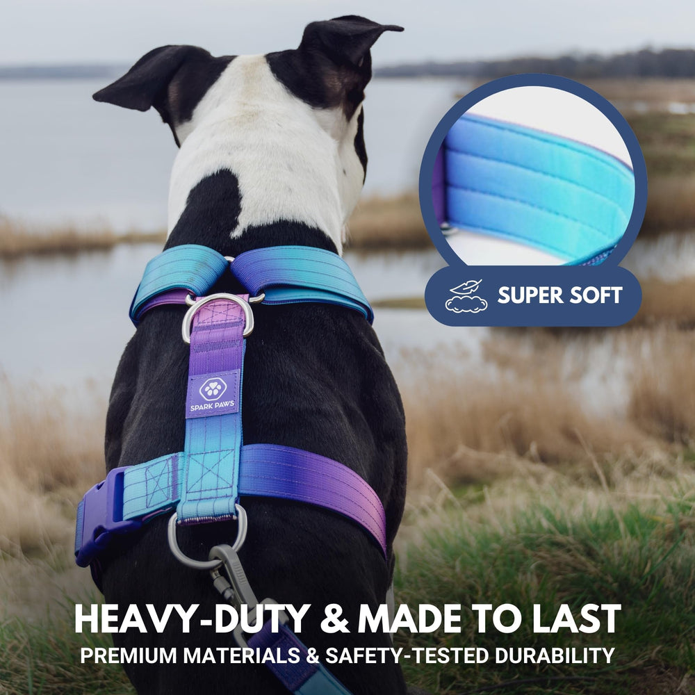 Spark Paws No Pull Harness 90s retro design adds style to daily walks.