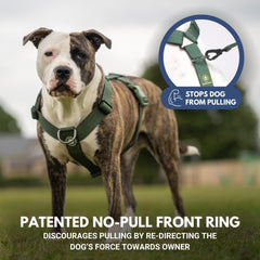 Spark Paws adjustable chest and torso fit ensures secure control for large breeds