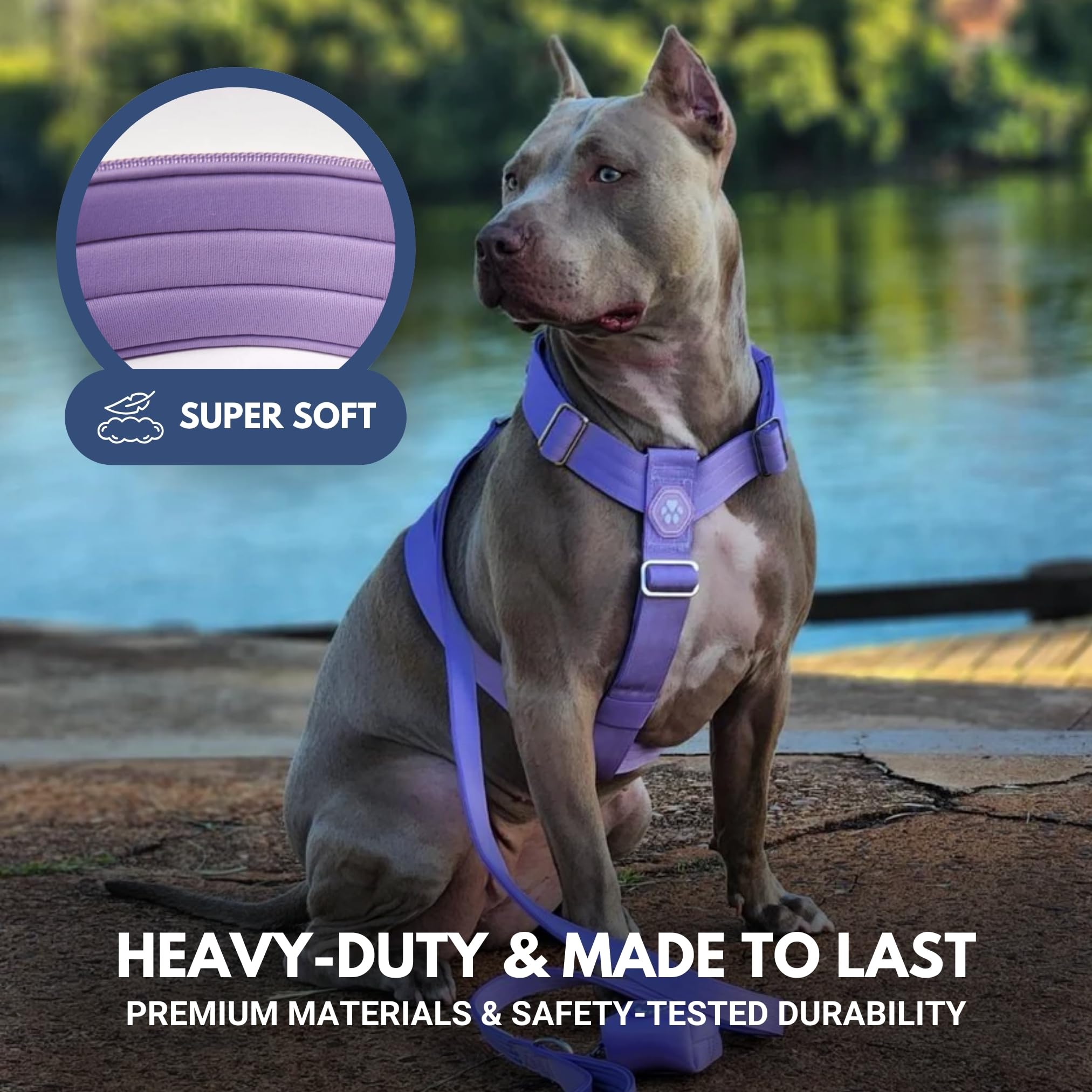 Spark Paws No Pull Harness adjustment points demonstrated for a custom fit