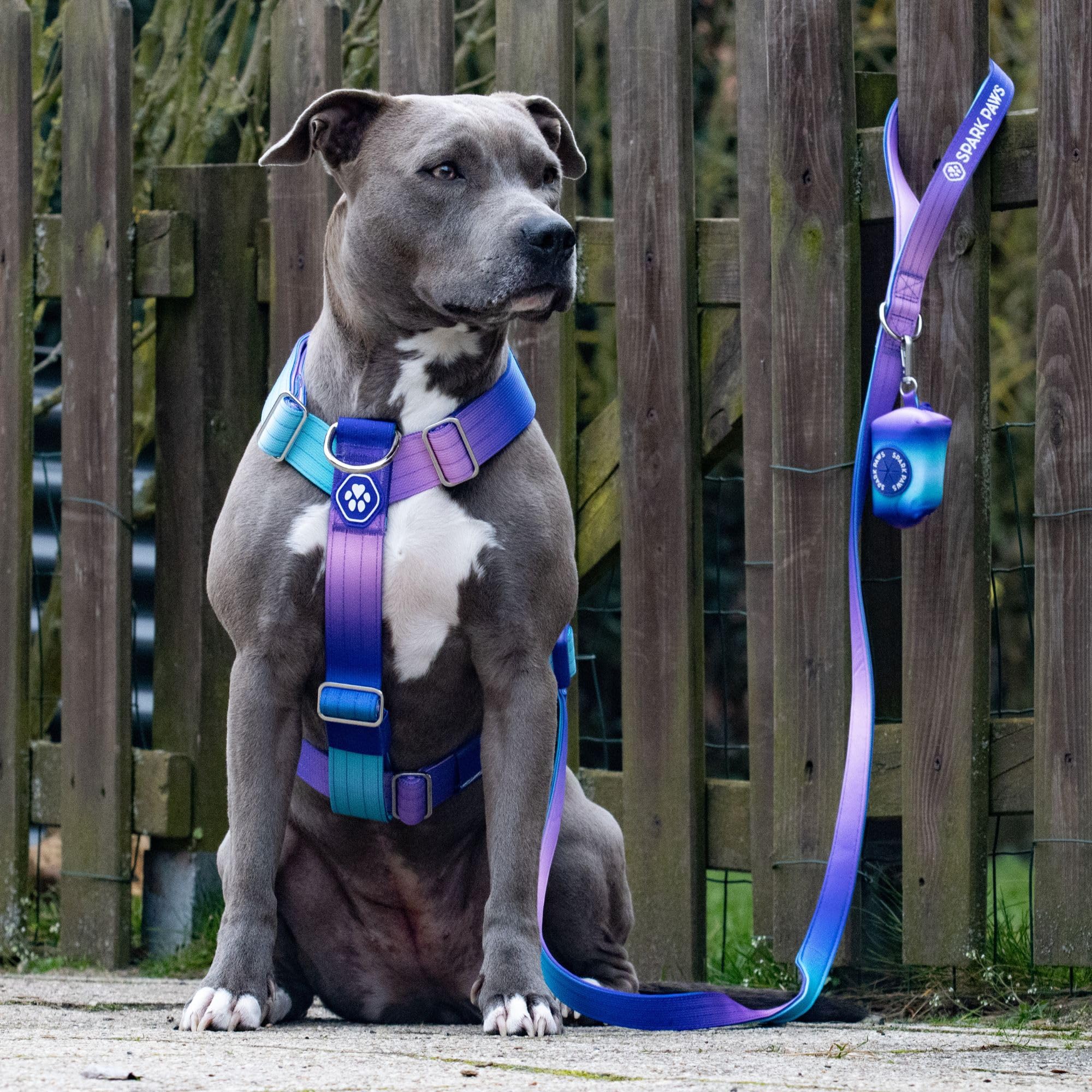 Spark Paws No Pull Harness adjustment points enable easy, tailored fit for strong breeds.