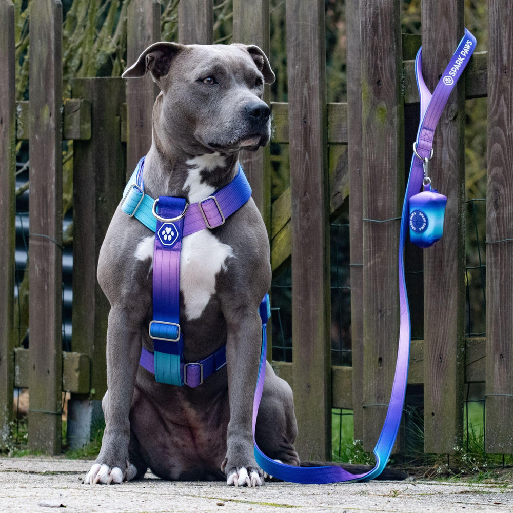 Spark Paws No Pull Harness adjustment points enable easy, tailored fit for strong breeds.