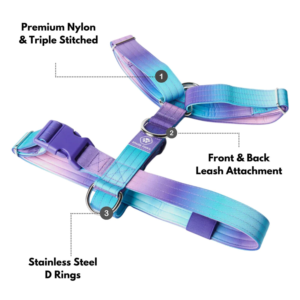 Spark Paws No Pull Harness D rings and buckles showcase secure control during walks.