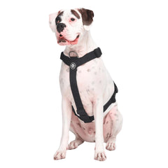 Spark Paws No Pull Harness front clip enhances control on walks for large dogs.
