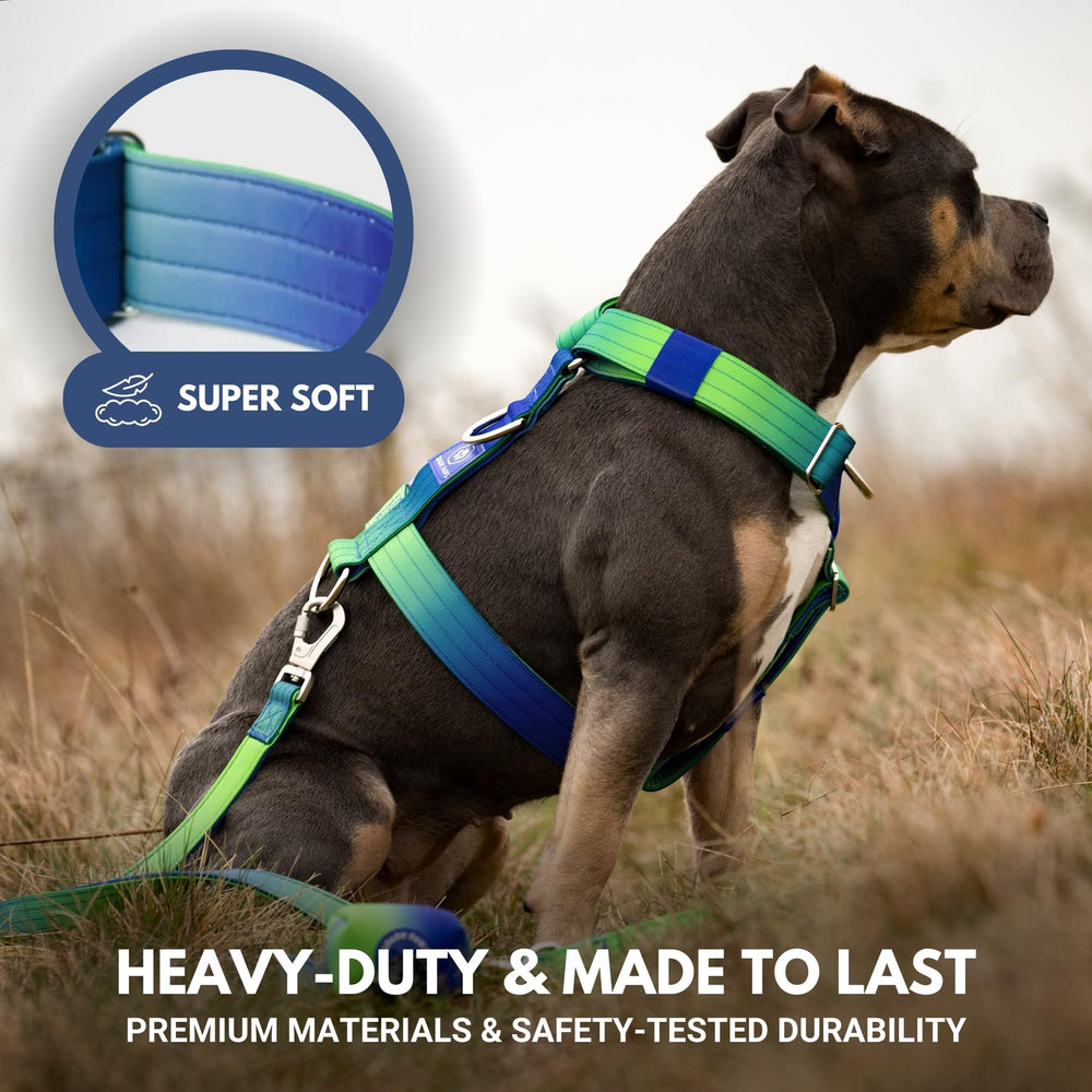 Spark Paws heavy-duty nylon close-up highlights durability for strong breeds