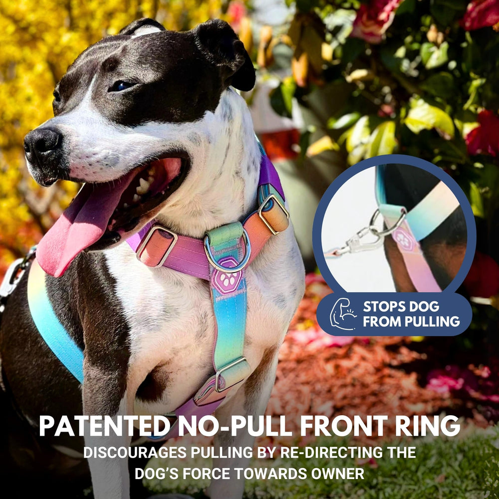 Spark Paws heavy-duty nylon with reinforced stitching handles strong dogs