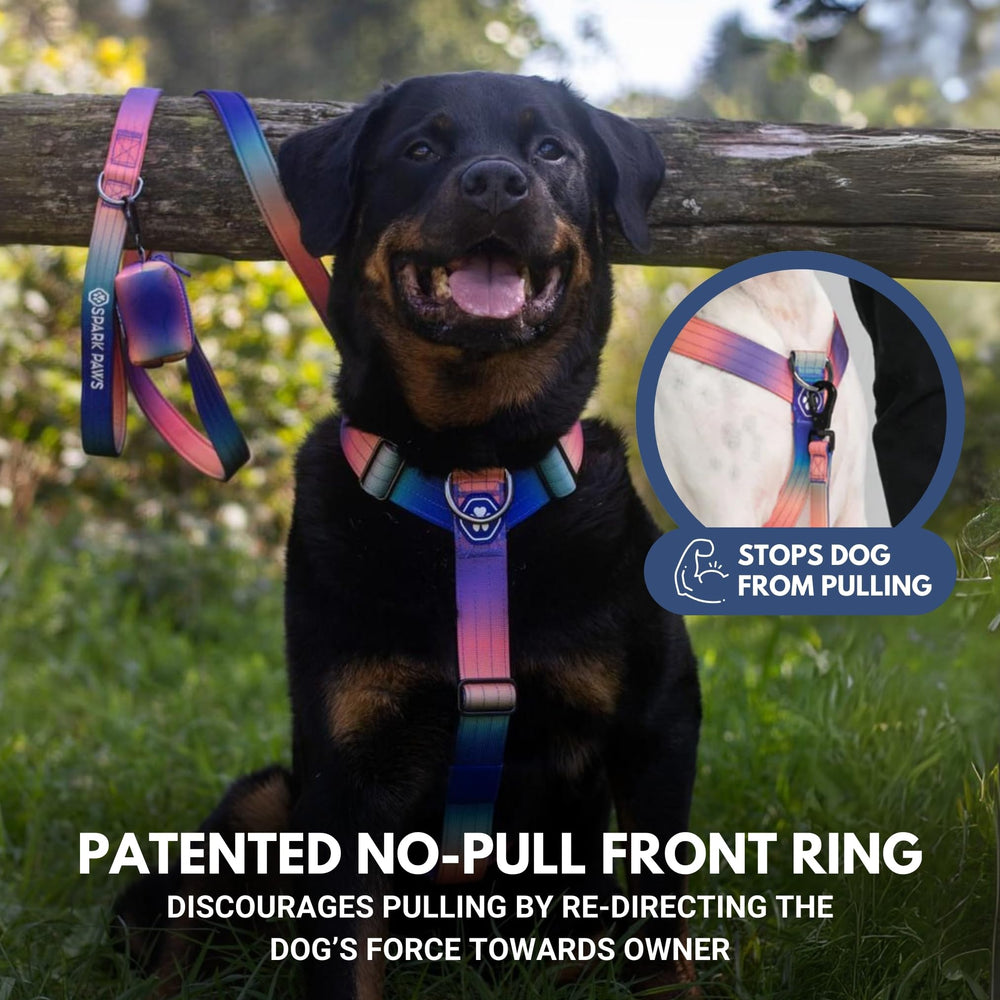 Spark Paws Kaleidoscope-04 heavy duty nylon with reinforced stitching for strong breeds.