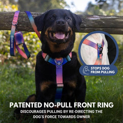 Spark Paws Kaleidoscope-04 heavy duty nylon with reinforced stitching for strong breeds.