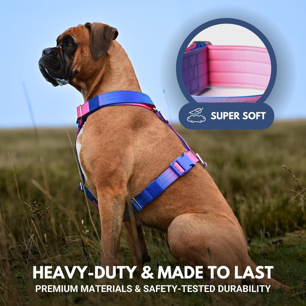 Spark Paws No Pull Harness Snow Cone front-clip design aids training and front-control during adventurous hikes