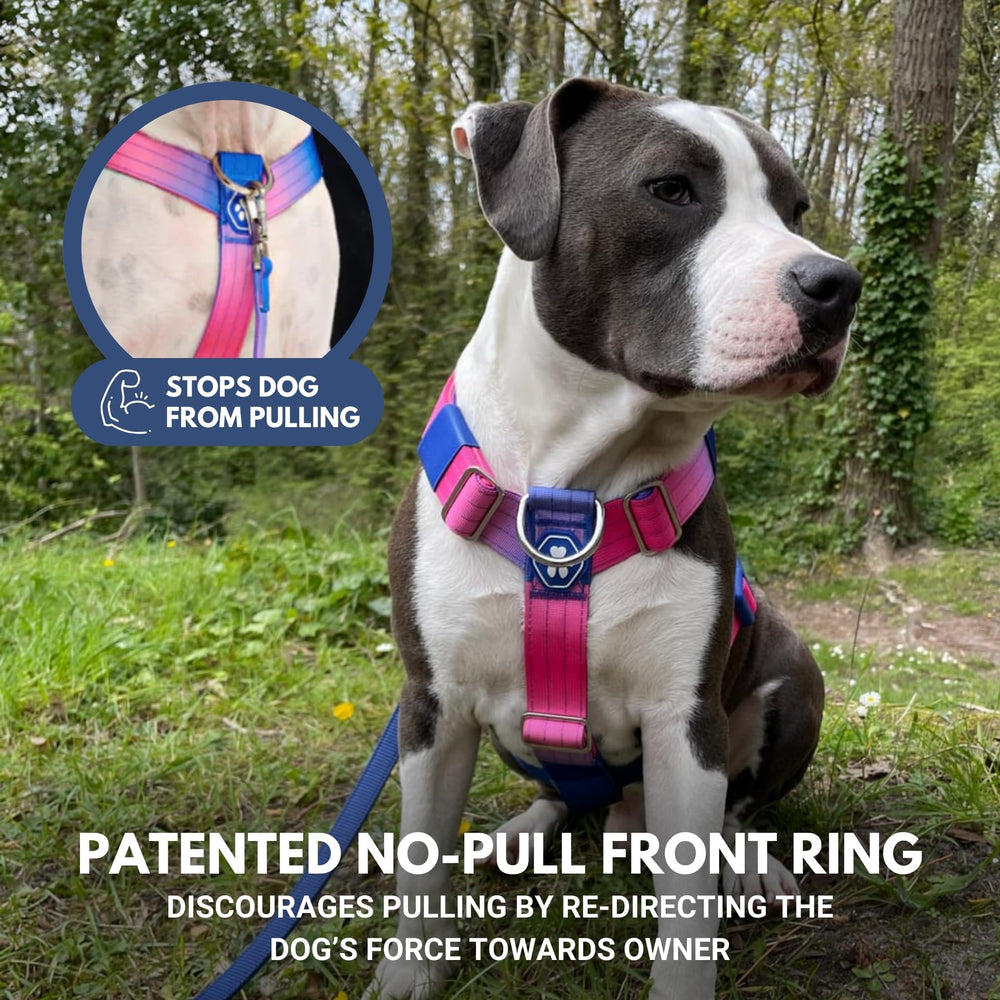 Spark Paws No Pull Harness Snow Cone triple-stitch buckles ensure secure control on pullier dogs