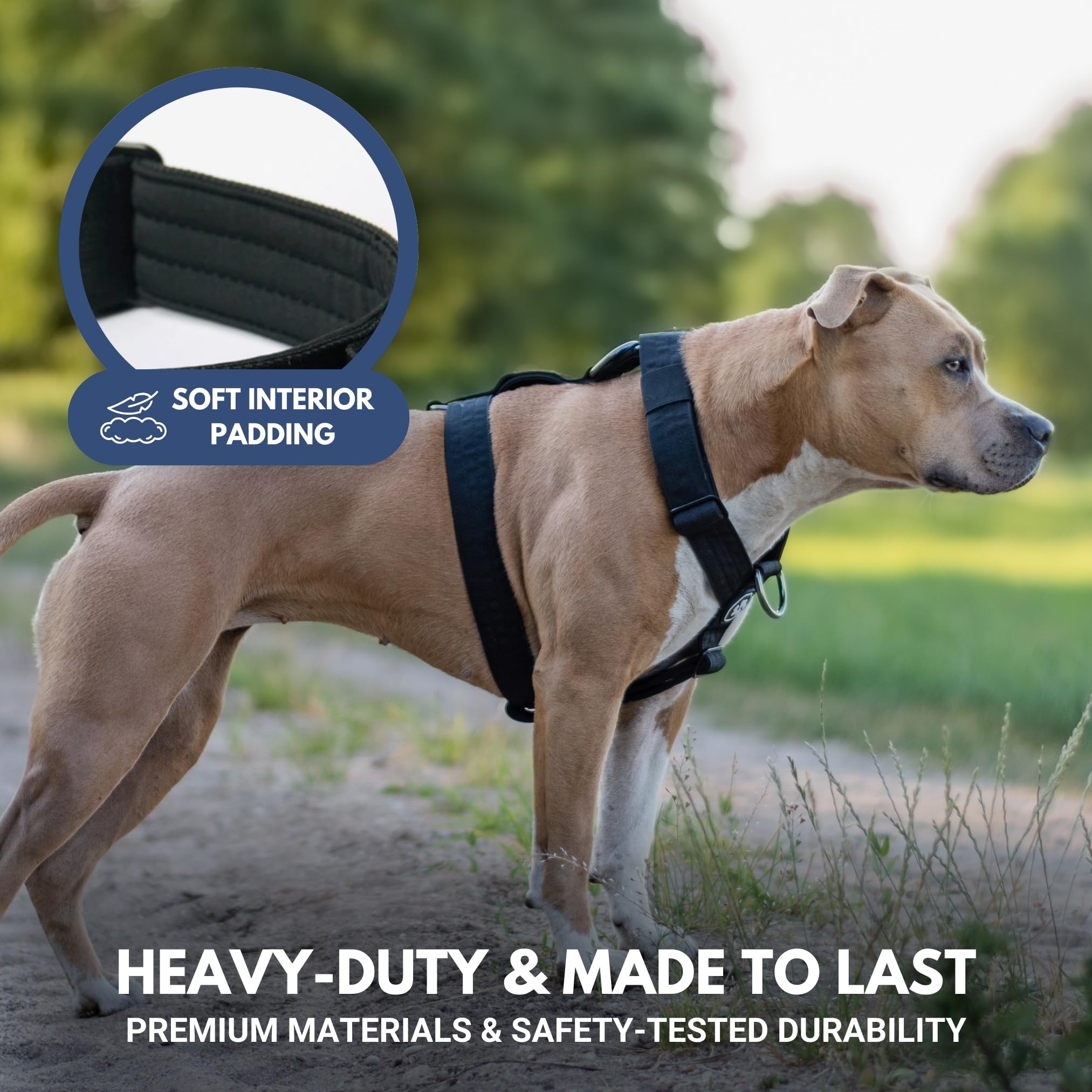 Spark Paws No Pull Harness reinforced stitching demonstrates durability for rugged adventures.