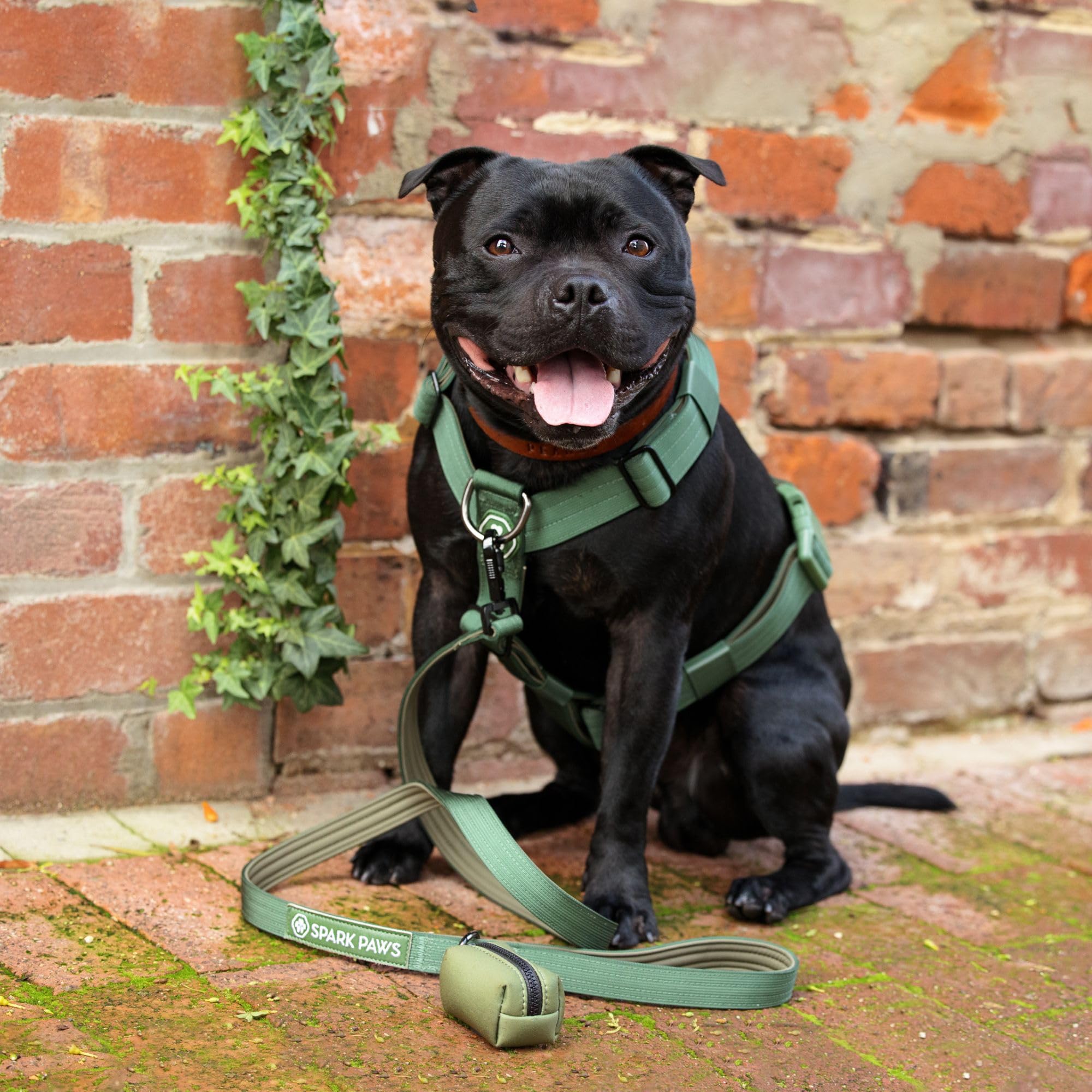 Spark Paws rugged harness pairs with leash for a complete action-ready setup