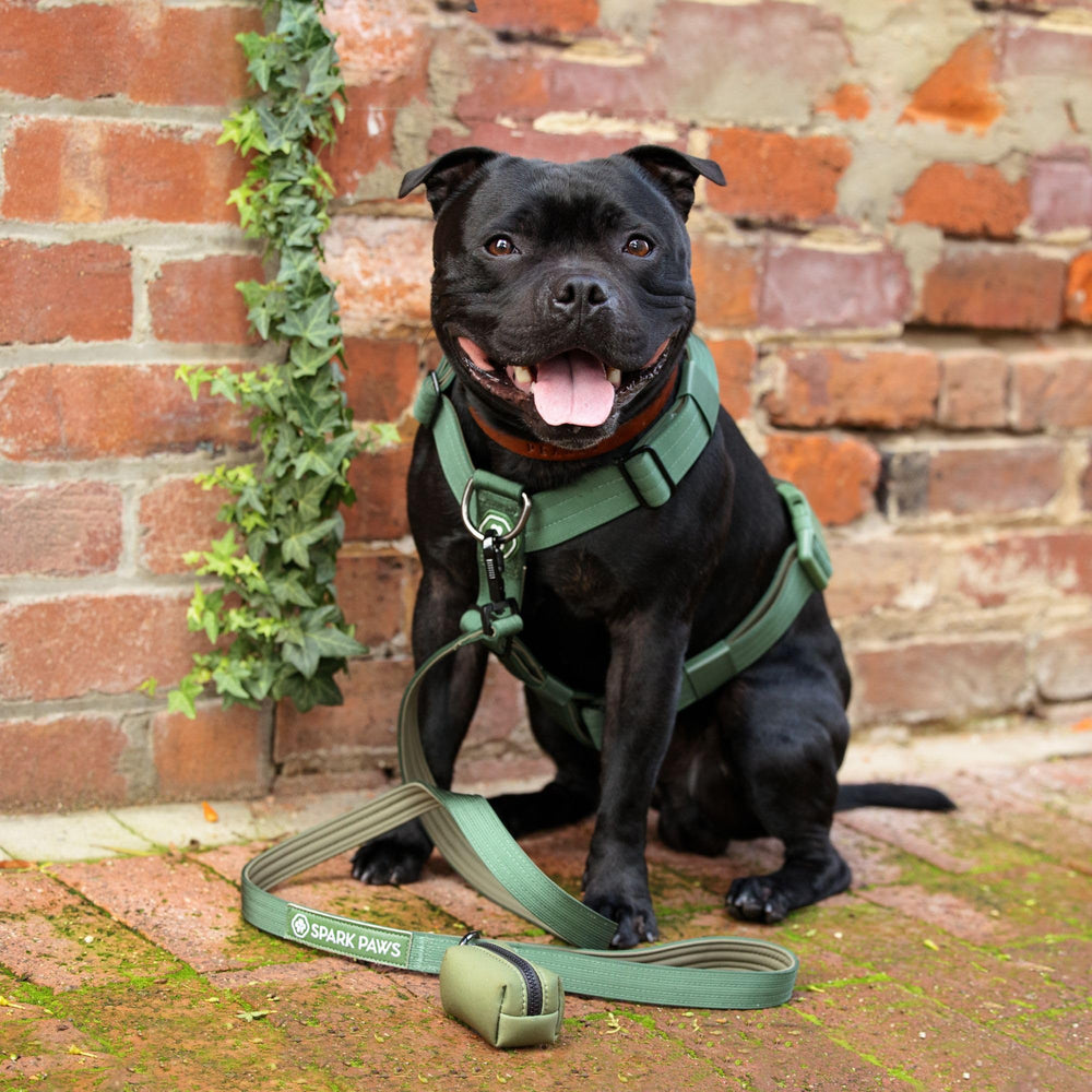 Spark Paws rugged harness pairs with leash for a complete action-ready setup