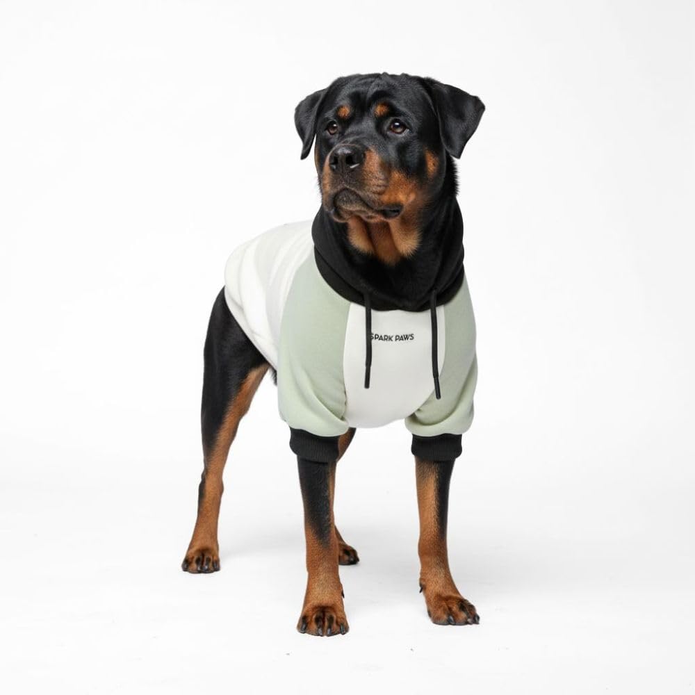 Spark Paws Olive Cream dog hoodie front view shows butter-stretch fabric for easy movement