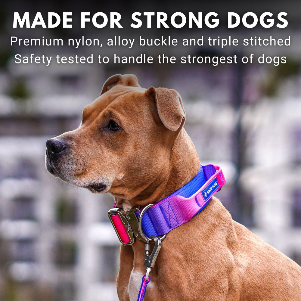 Spark Paws outdoor safety design image suitable for rugged adventures