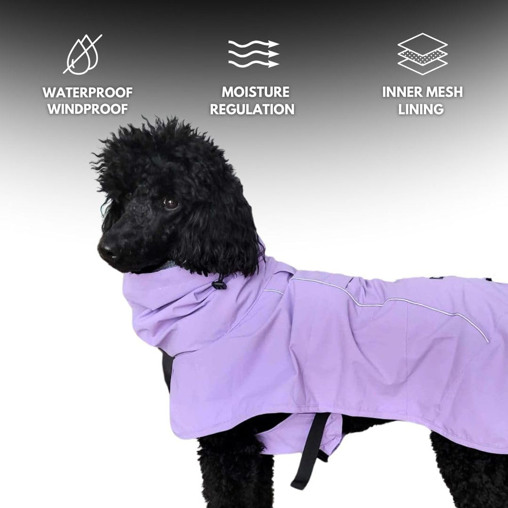 Spark Paws reflective strips boost nighttime visibility.