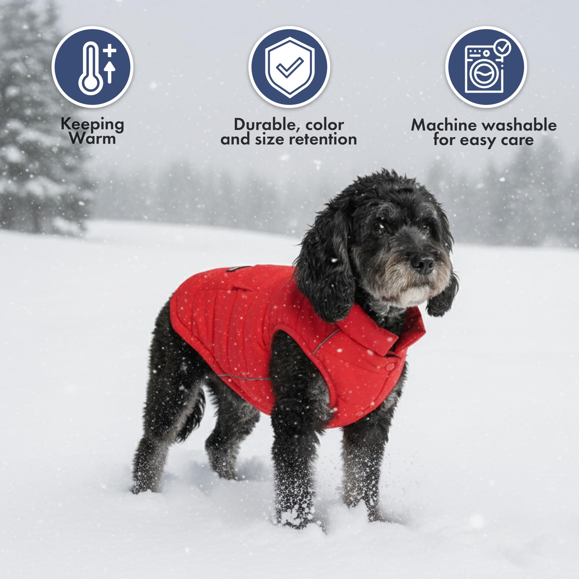 Spark Paws red winter jacket on a dog in a park.