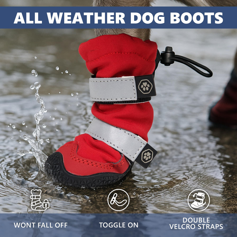 Spark Paws reflective straps boost visibility for dawn or dusk strolls