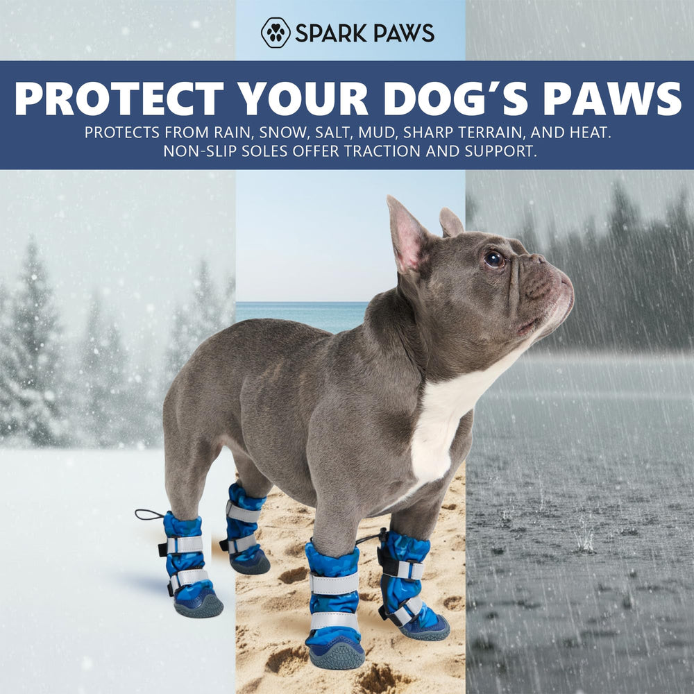 Spark Paws reflective straps on dog shoes improve visibility during low light runs.