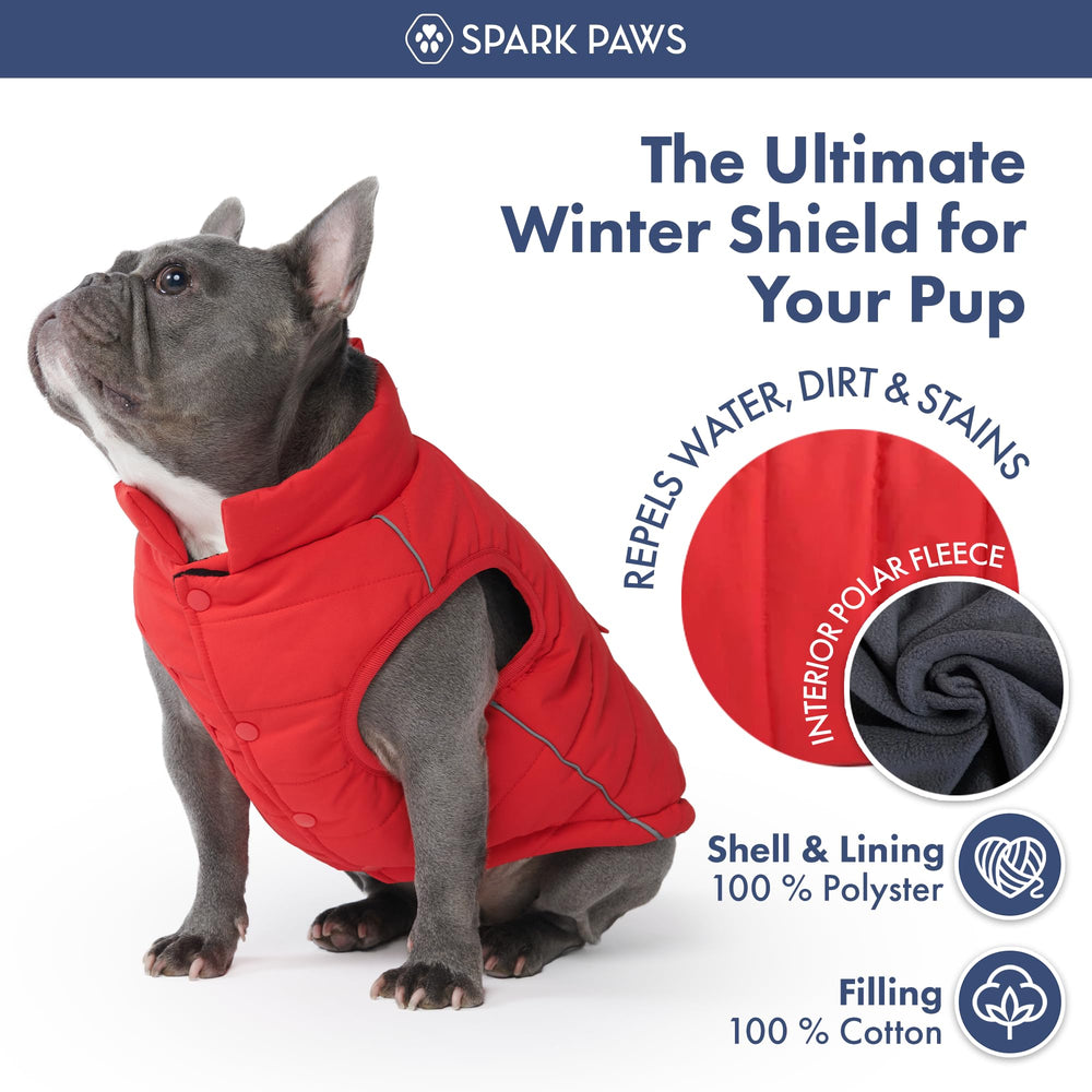 Spark Paws reflective straps enhance night-time visibility for safer outings.
