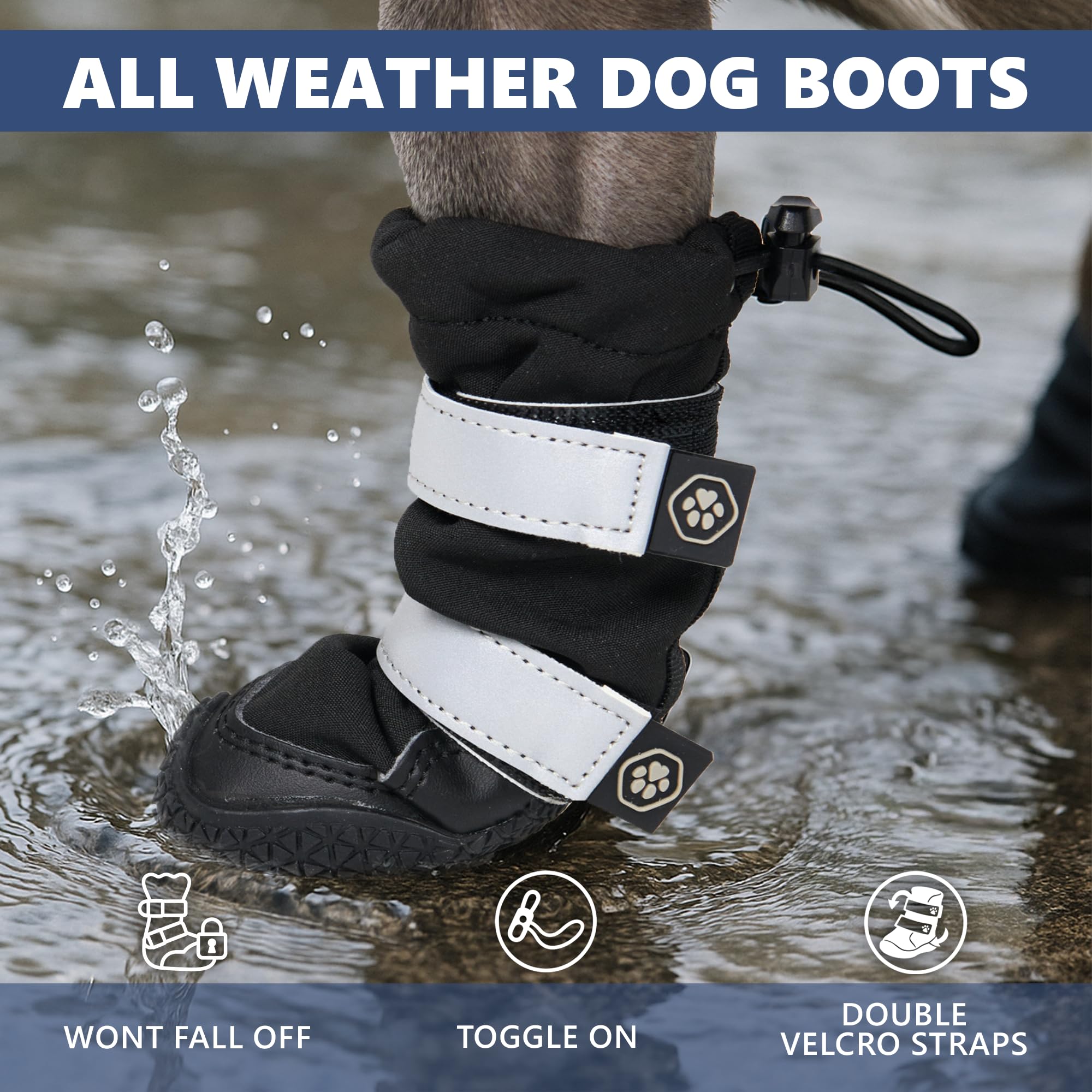 Spark Paws reflective straps ensure visibility during night outdoor strolls.