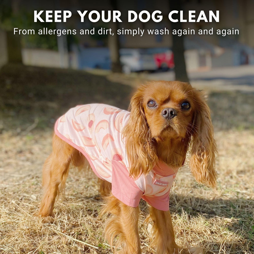 Spark Paws Sunblock Dog T-Shirt Quick Dry fabric after swims