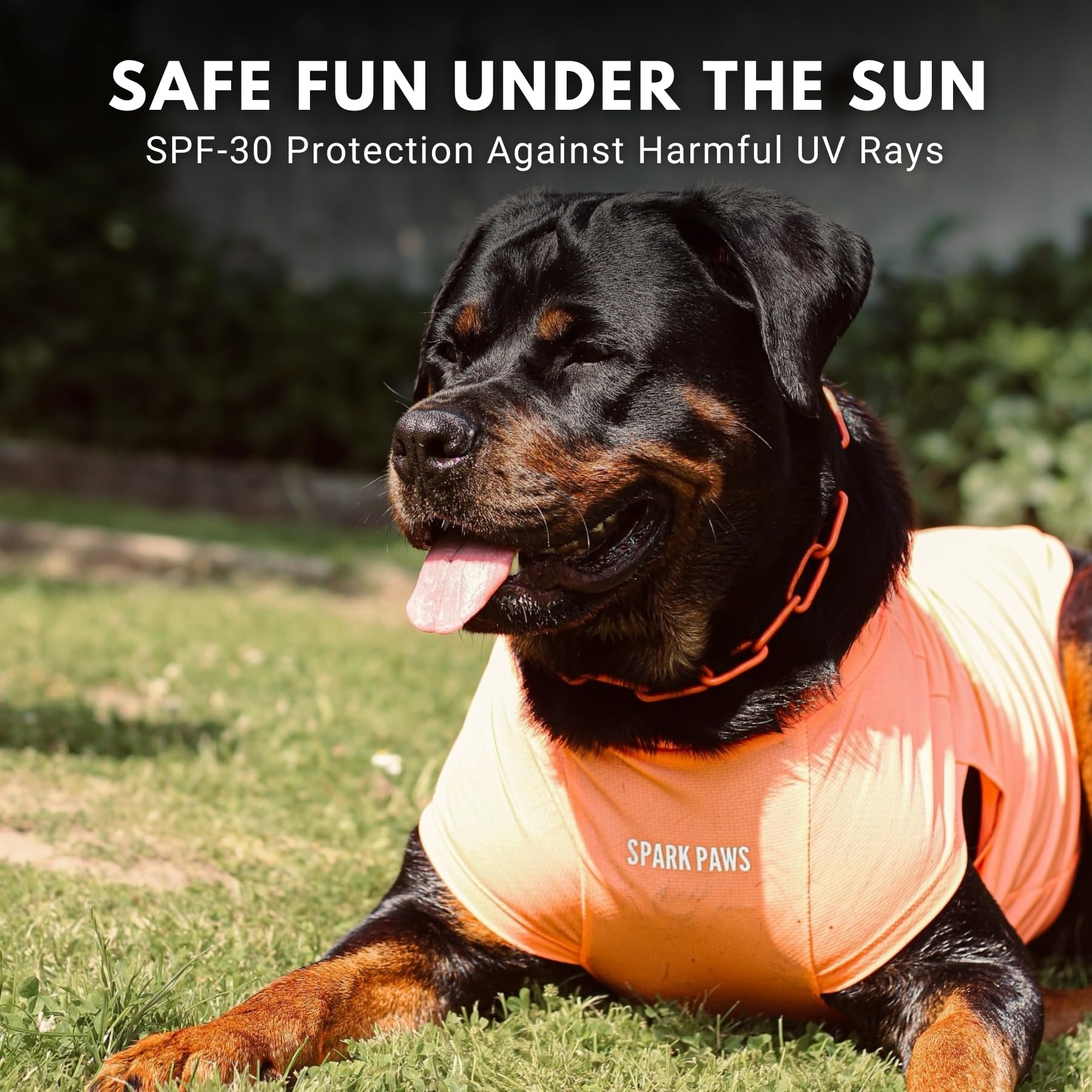 Spark Paws Sunblock Dog T-Shirt keeps dirt and allergens away