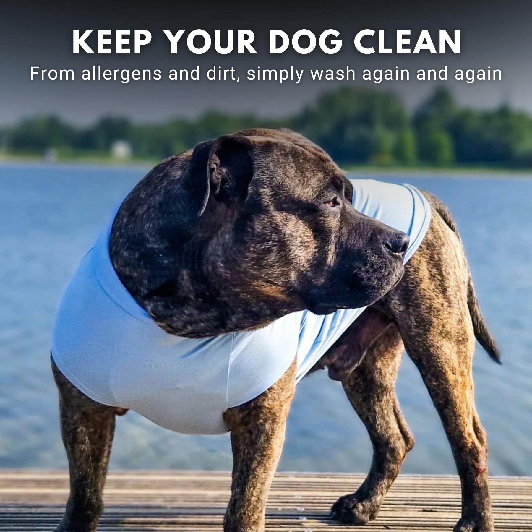 Spark Paws Sunblock Dog T-Shirt being washed easily after outdoor adventures.