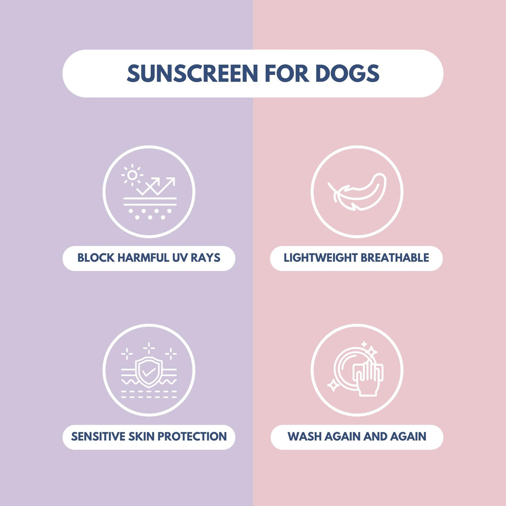 Spark Paws wearing sunblock tee during outdoor play showcasing sun protection.