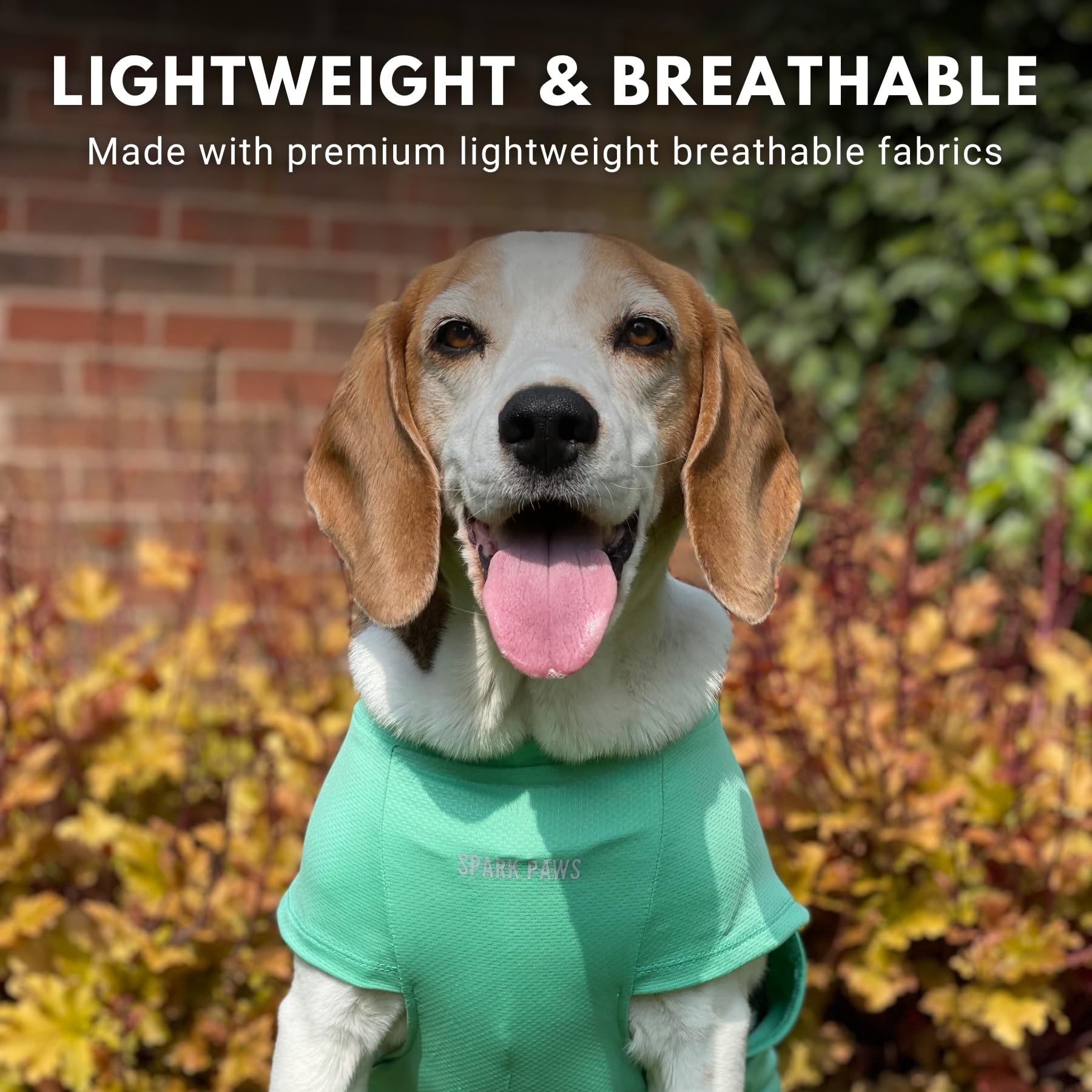 Spark Paws Sunblock Dog T-Shirt set of 2 blue and mint packaging.
