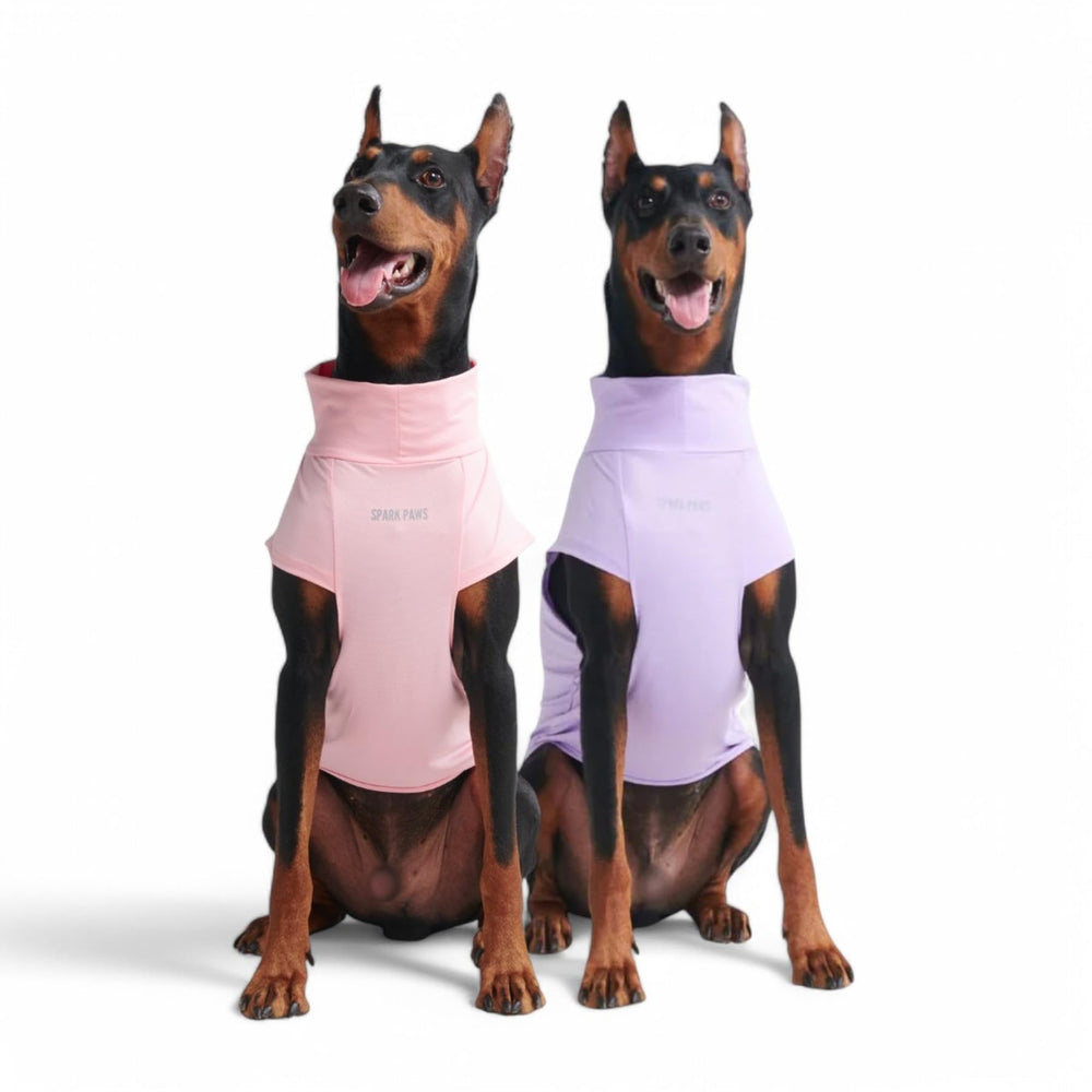 Spark Paws Sunblock Dog T-Shirt packaging shows two-color set for easy sun protection