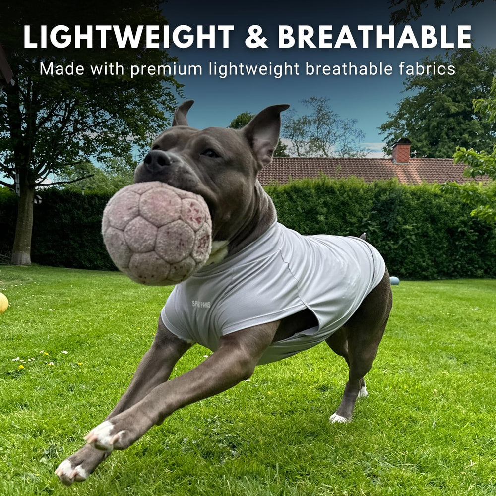 Spark Paws Sunblock Dog T-Shirt poolside-ready for summer water play.
