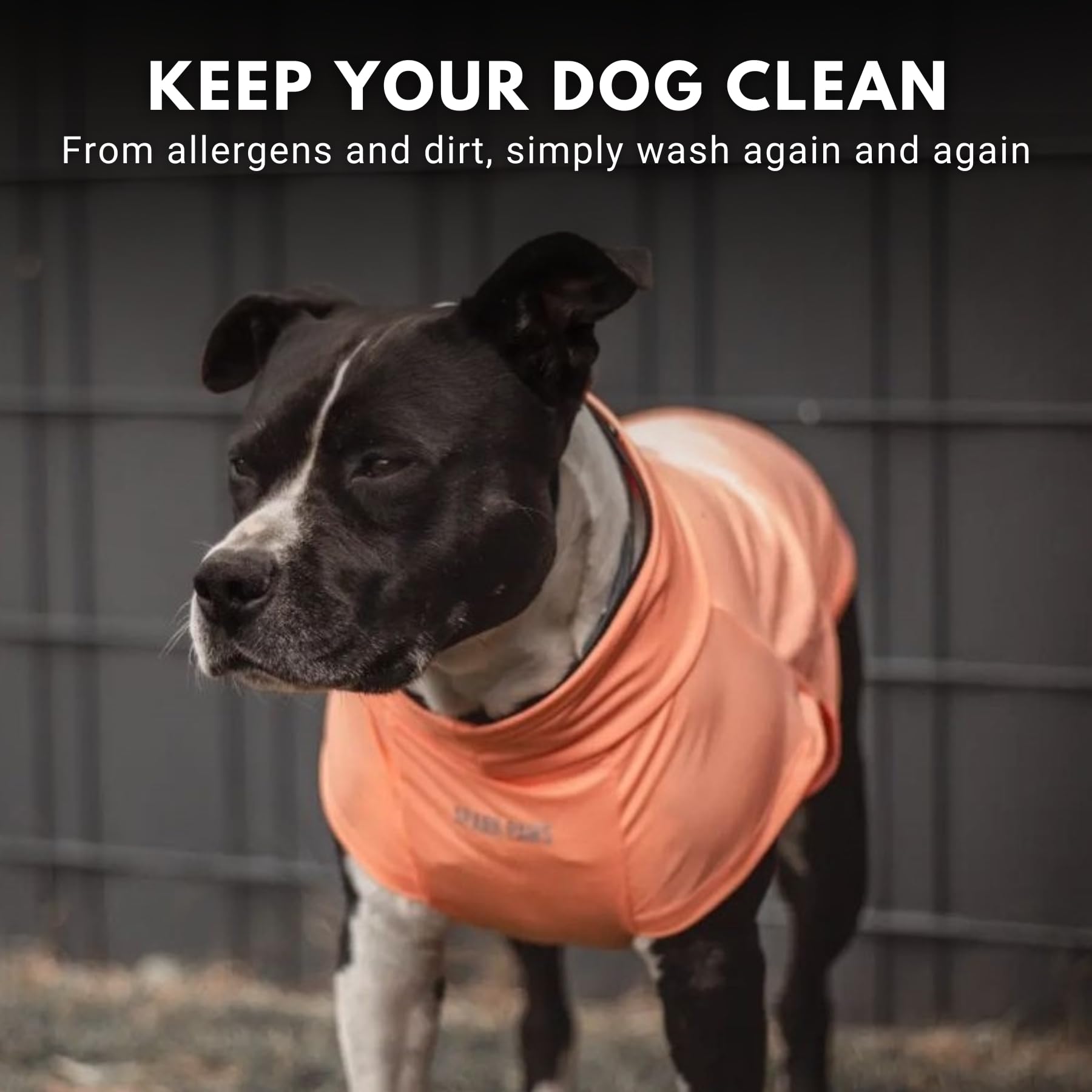 Spark Paws Sunblock Dog T-Shirt purple peach set for style and sun safety