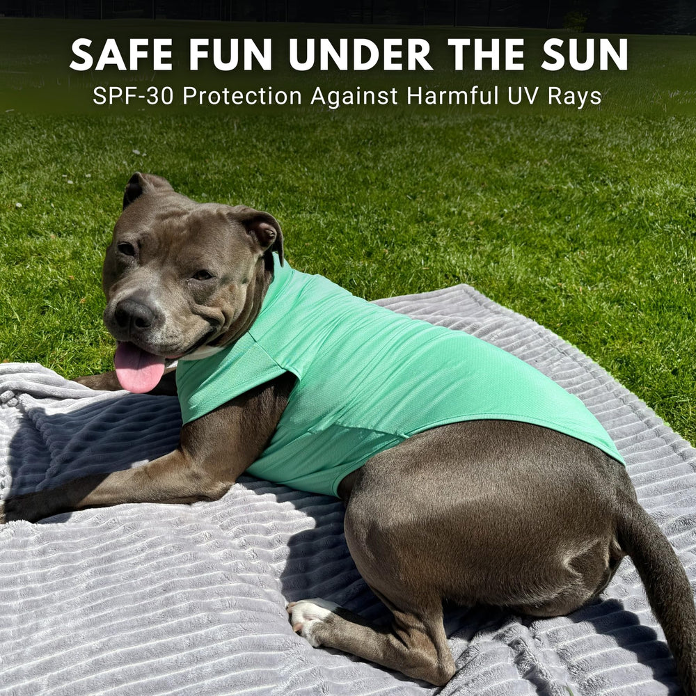 Spark Paws Sunblock Dog T-Shirt Quick-dry back view emphasizes moisture-wicking performance