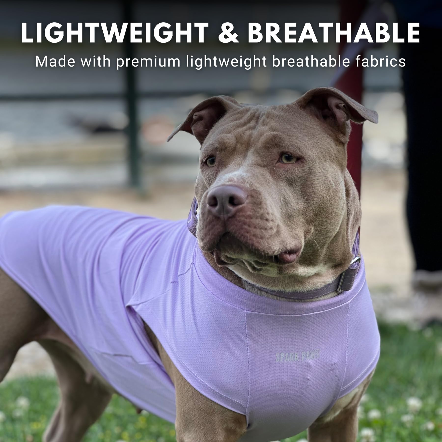 Spark Paws size chart visible with 3XL for secure fit.