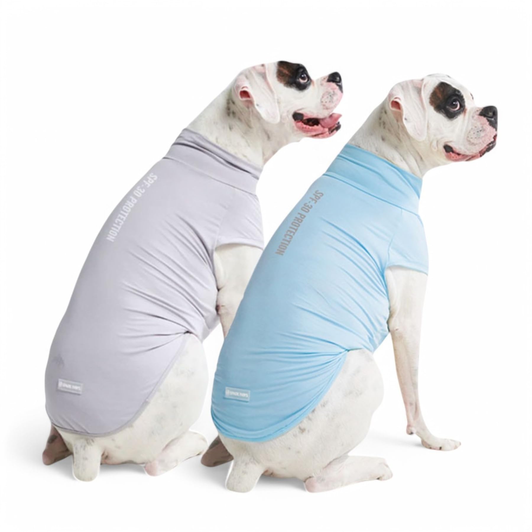 Spark Paws Sunblock Dog T-Shirt SPF30 blue on dog for outdoor UV protection.