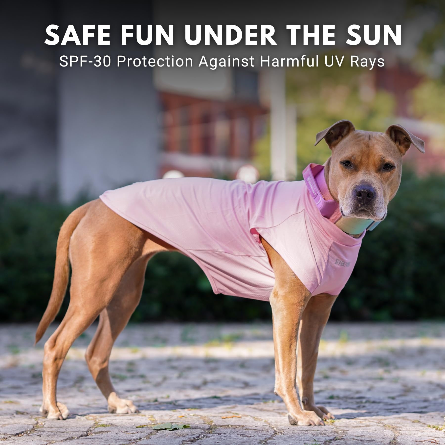 Spark Paws Sunblock SPF30 label close-up emphasizing sun protection features.